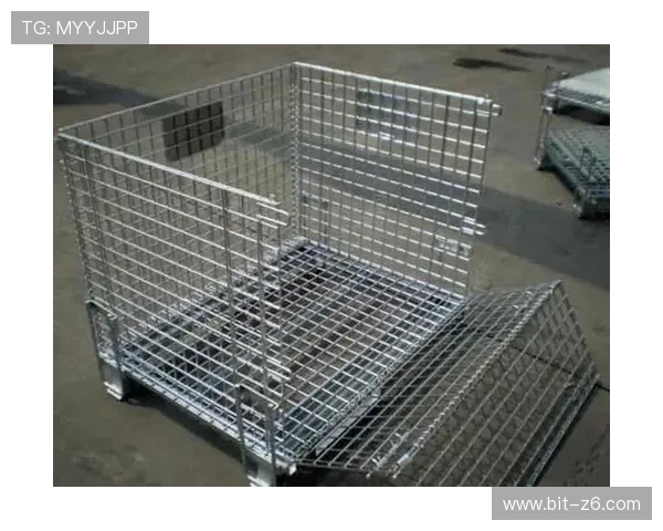 尊龙凯时z6最新版本下载资源大全，提供官方正版安全下载链接与更新信息